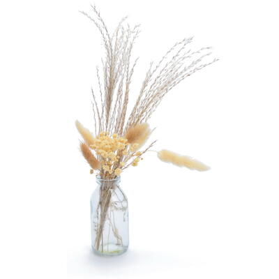 Trockenblume in Vase natur, Glasflasche mit Trockenblumenstrauß, getrocknete Blumen und Gräser in Vase