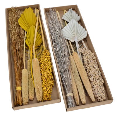 Trockenblumen-Sortiment, Exoten-Set, Trockenfloristik