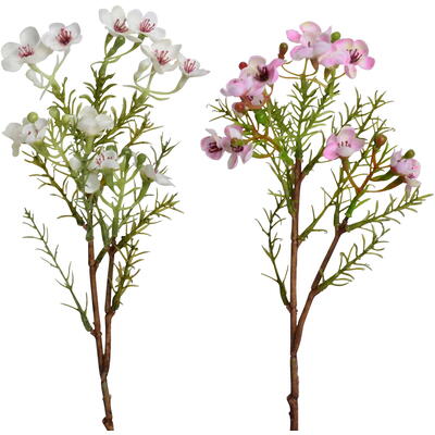 Wachskraut, Seidenblume, Kunstblume, Frhlingsblher