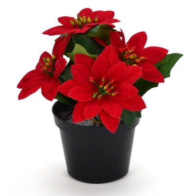Weihnachtsstern im Topf, Poinsettia, Weihnachtsdeko, Topfpflanze knstlich, knstlicher Weihnachtsstern