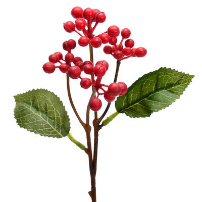 Wildbeeren-Pick, Beeren, Frckten, Beerenzweig, Herbstdeko, Winterdeko