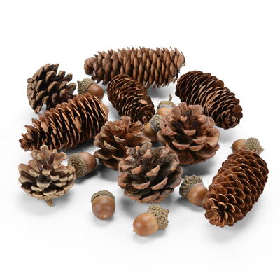 Zapfen-Eichel-Mix, Zapfen-Mix, Zapfen-Deko, Tannenzapfen, Tannenzapfen-Mix, Winterdeko, Weihnachtsdeko, Naturdeko