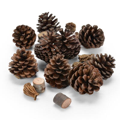 Zapfen-Mix, Dekozapfen, Tannenzapfen, Tannenzapfen-Mix, Naturdeko, Herbstdeko,Winterdeko, Weihnachtsdeko