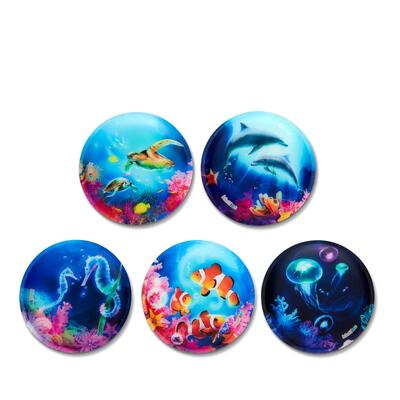 ergobag Kletties-Set, 5-teilig, Leuchtende Unterwasserwelt