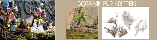 nl_Botanik